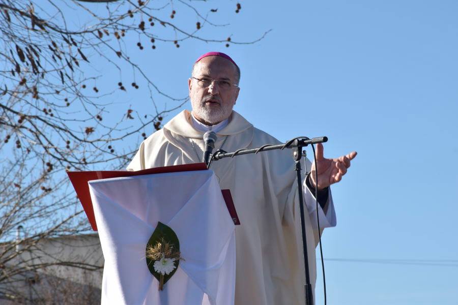 fiestas-patronales-20196